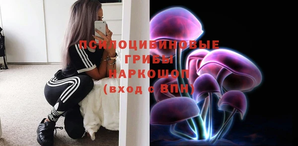 MDMA Бородино